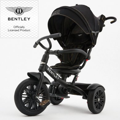 BENTLEY TheNewTricycle2020 limited100